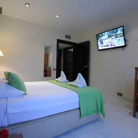 Apartment Gaudi *